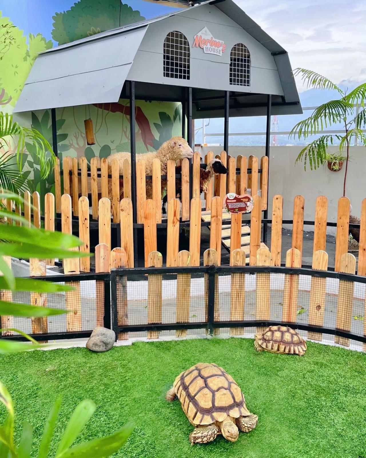 Hotel Fortunagrande Jember Luaran gambar